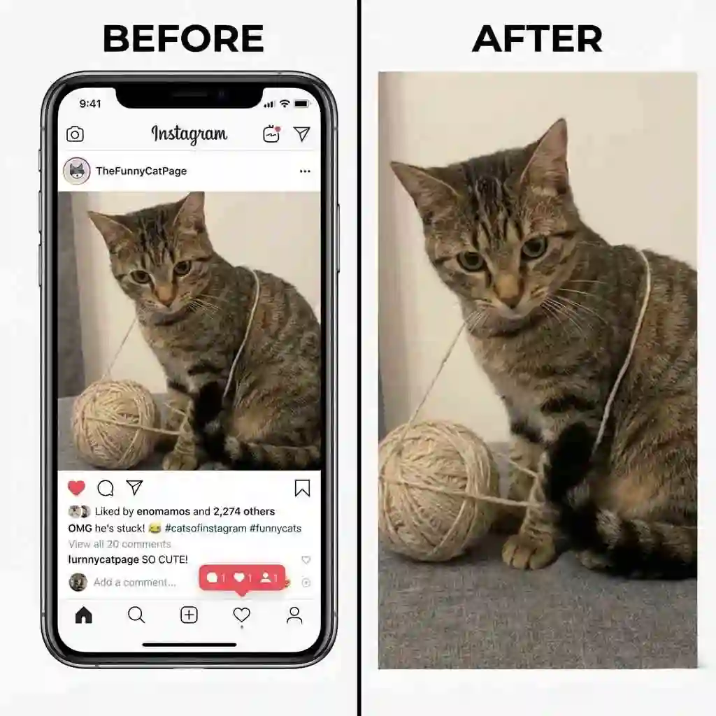 Privacy cleanup example shows can ai remove text from an image, removing usernames, comments, and UI labels to produce a shareable, distraction-free screenshot.