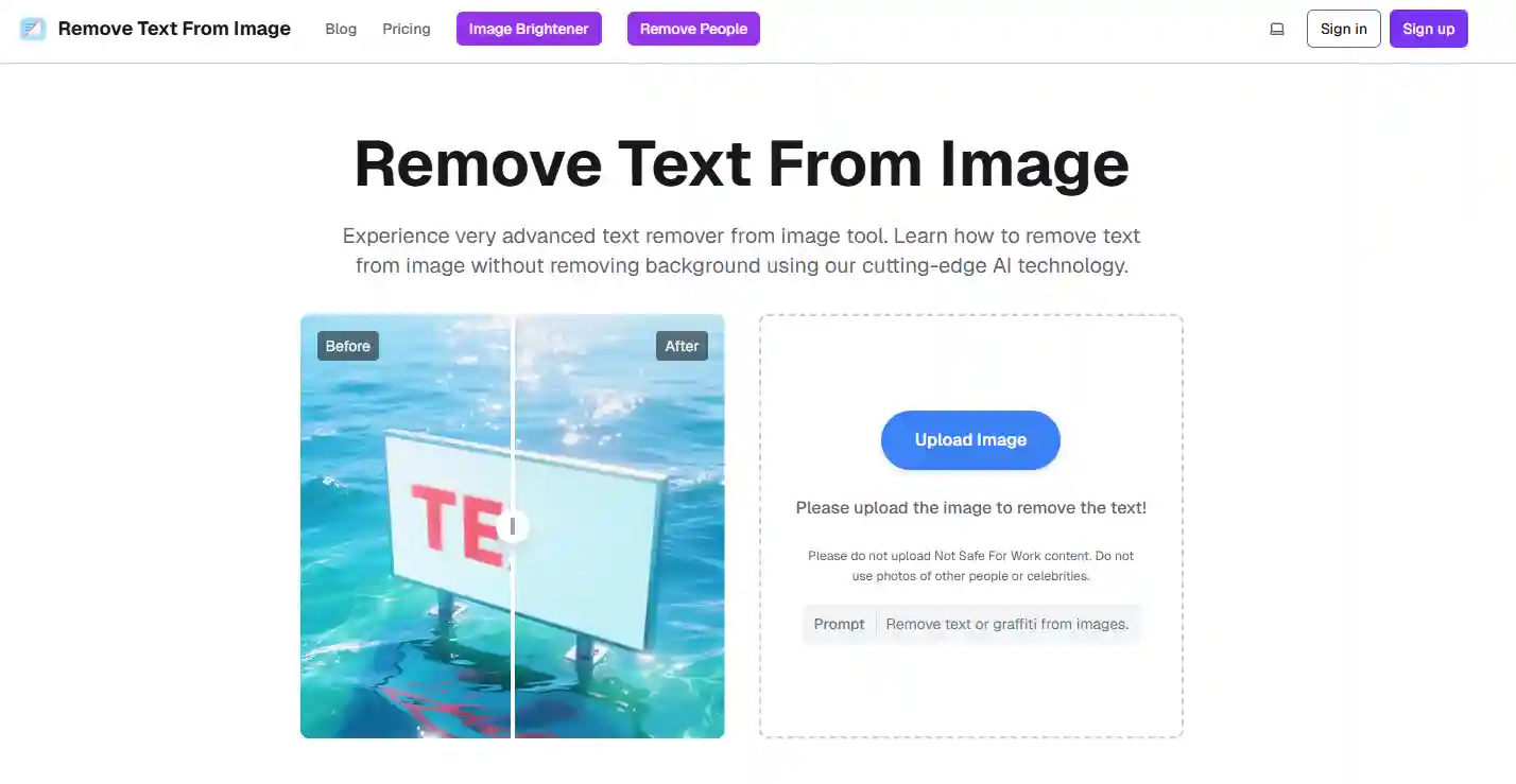 Interface overview of the online editor where can ai remove text from an image after upload, featuring simple controls and instant previews for beginners.